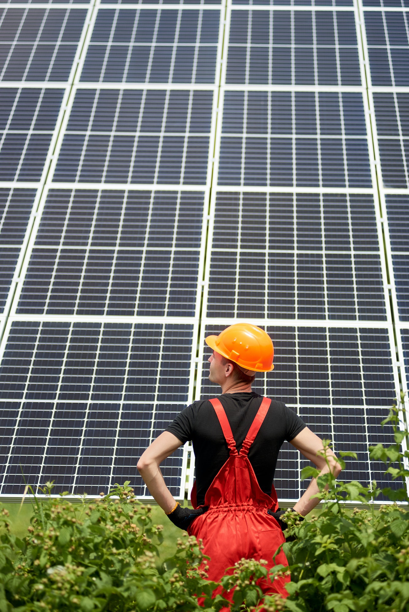 Worker stands with his back to camera against the background of large plantation solar batteries